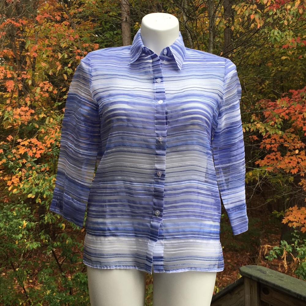Sheer Blue Striped Button Down Size 10 - image 1